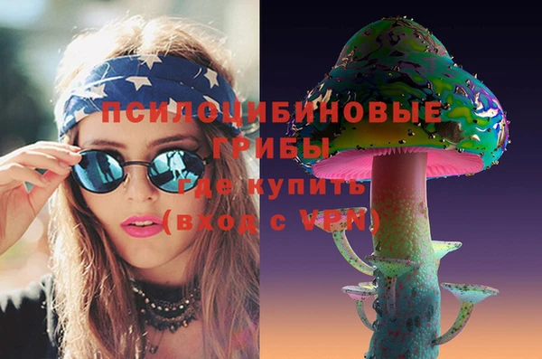 крисы Арсеньев