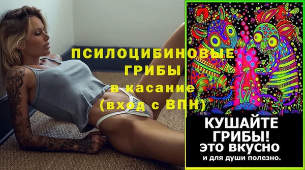 стафф Баксан